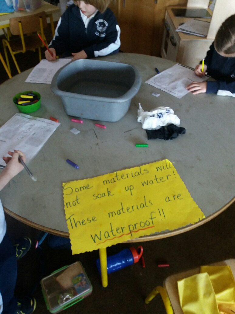 20180202_123538_resized