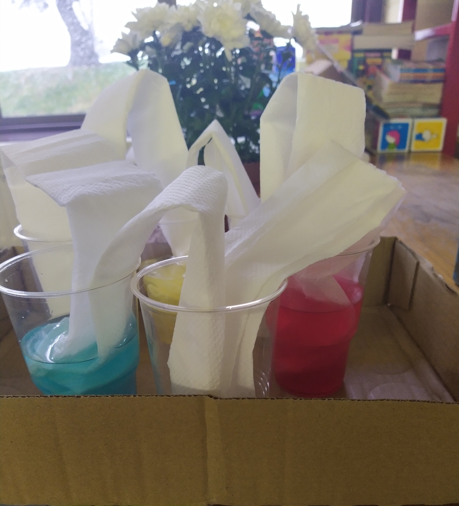 IMG_20201112_114134_resized_20201118_104546537