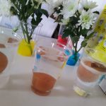 IMG_20201112_114147_resized_20201118_104546215