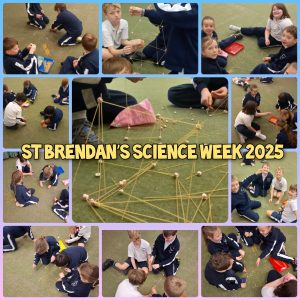 PhotoCollageMaker_20251114_123718497