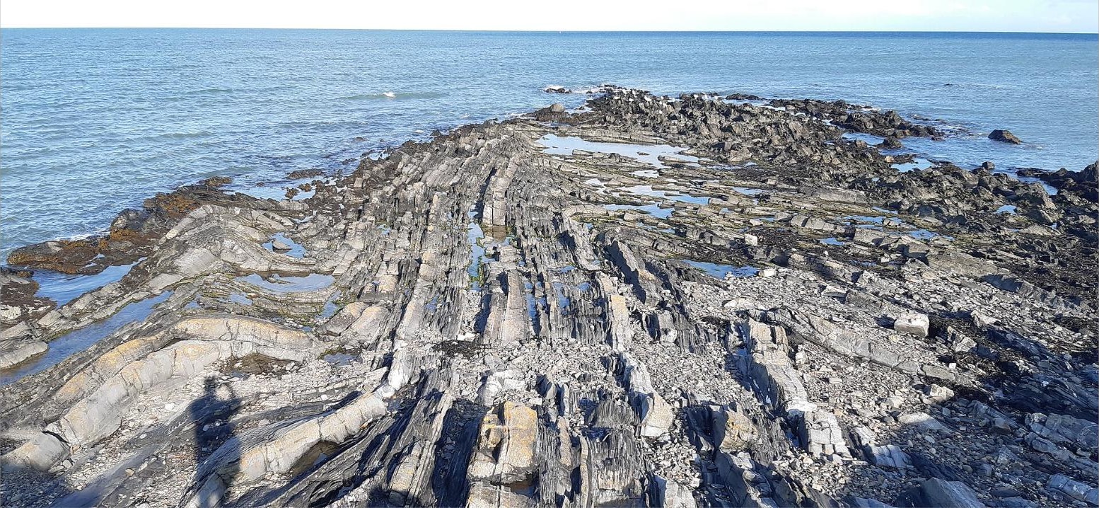 Folded rock on the shore at Loughshinny