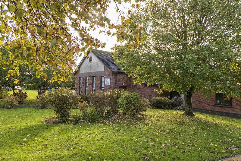 Autumn trees and the lawn beside the school