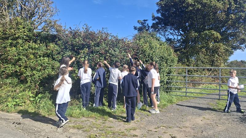 A class exploring the hedgerow on a walk
