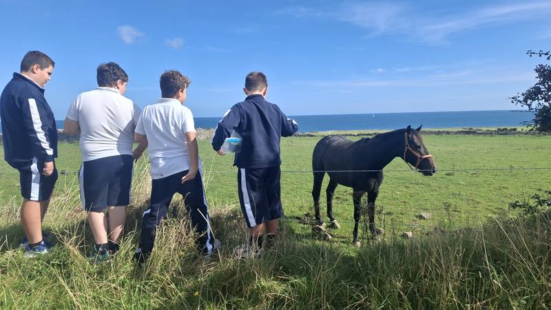Pupils with a horse by the coast