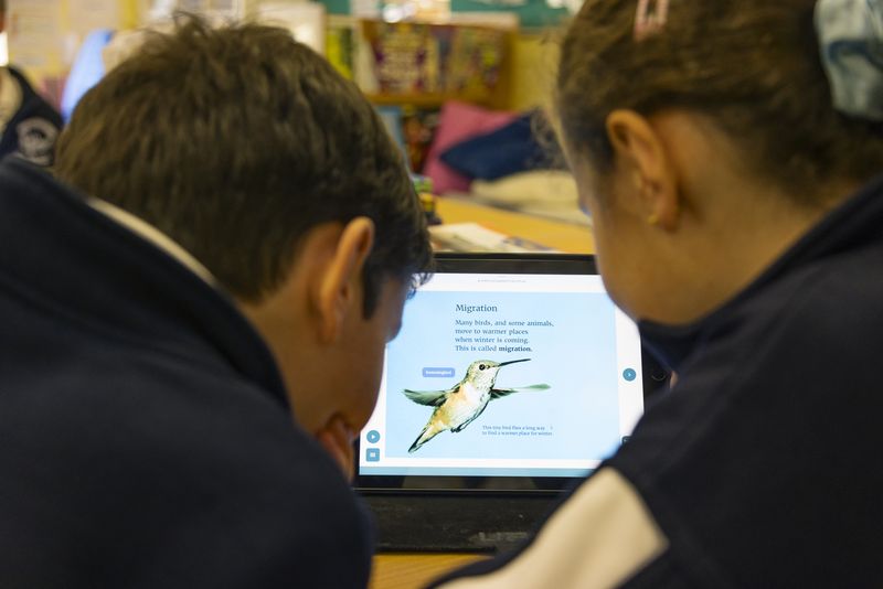 Pupils reading about hummingbirds on a laptop