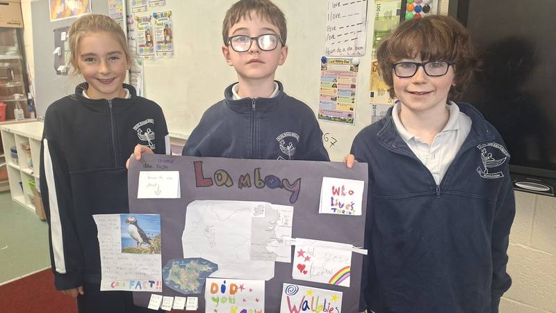A group with their Lambay project