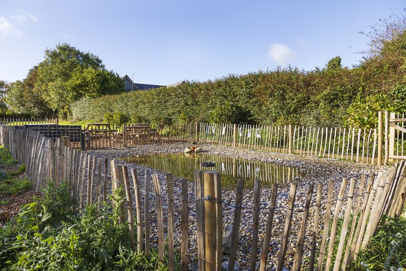 The wildlife pond behind its wooden fence