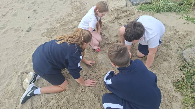 Digging in the sand on the beach