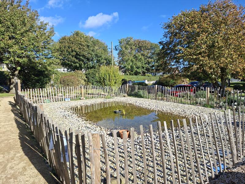 Our wildlife pond
