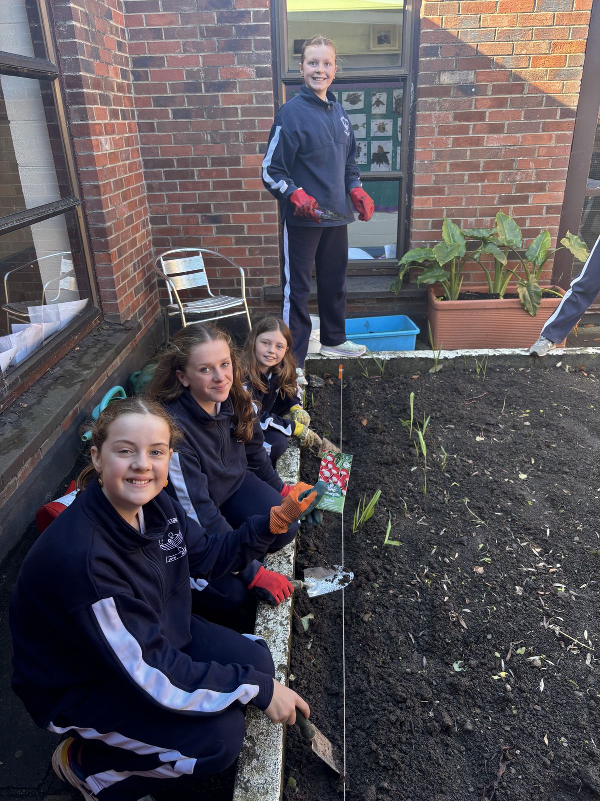 Gardeners planting the new vegetable bed in our internal courtyard